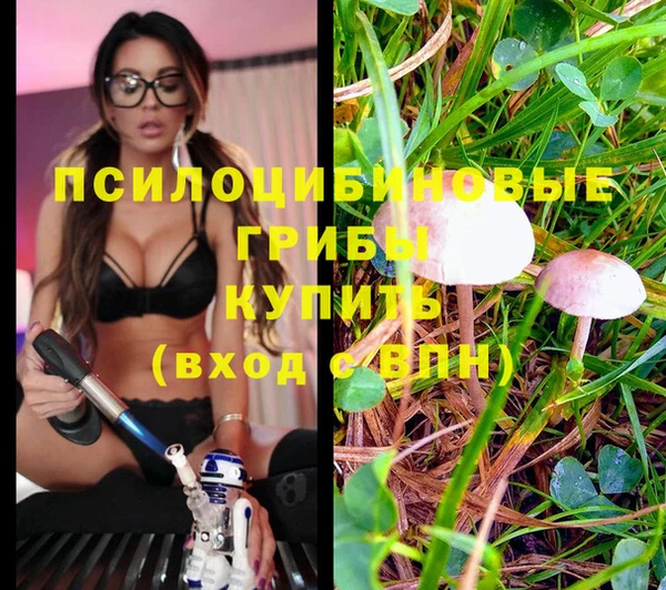 соль курить ск Балахна